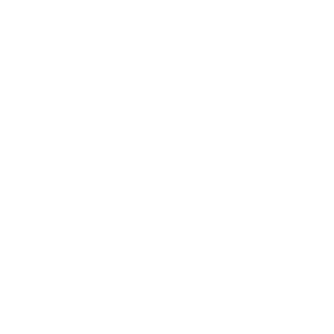 bliss logo